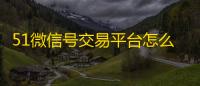 51微信号交易平台怎么找到
